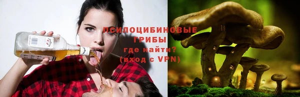 ALPHA-PVP Магадан