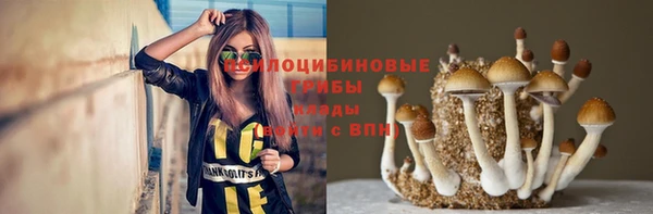 PSILOCYBIN Магас