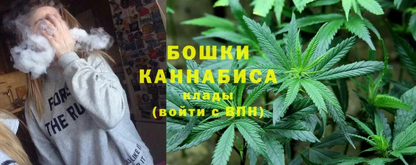 PSILOCYBIN Магас