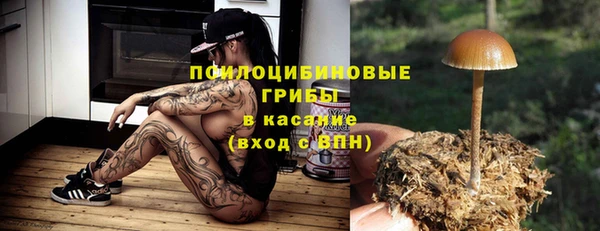 ГАЛЛЮЦИНОГЕННЫЕ ГРИБЫ Майский