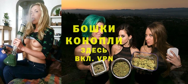ГАЛЛЮЦИНОГЕННЫЕ ГРИБЫ Майский