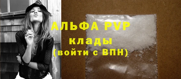 PSILOCYBIN Магас