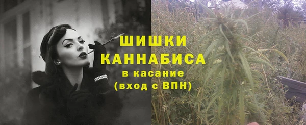 PSILOCYBIN Магас